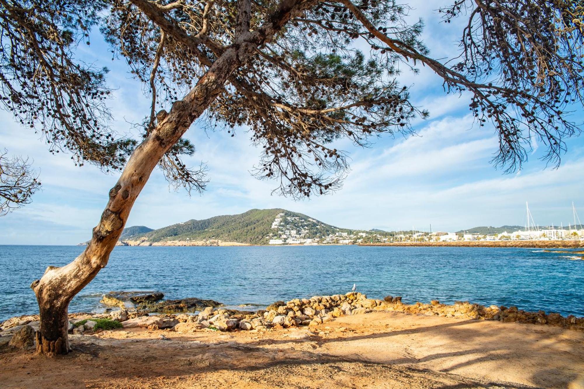 Pierre & Vacances Ros Ibiza Santa Eularia des Riu Exterior photo